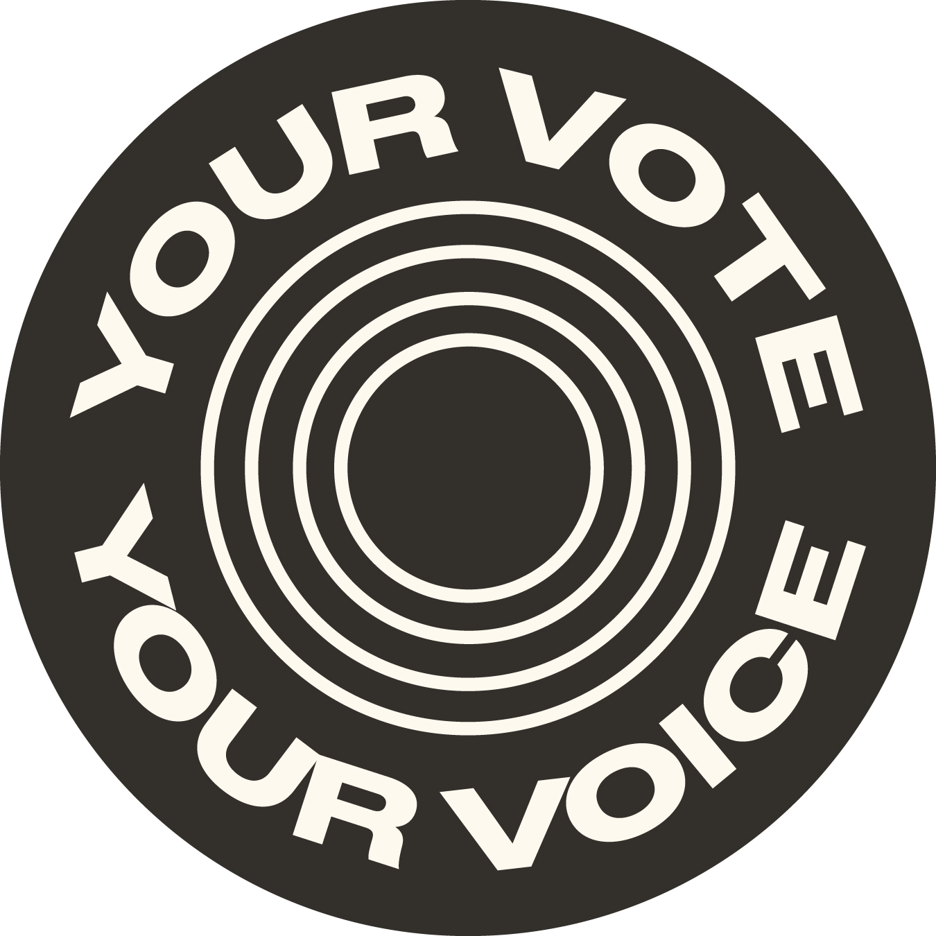 Make a plan to vote mirror cling